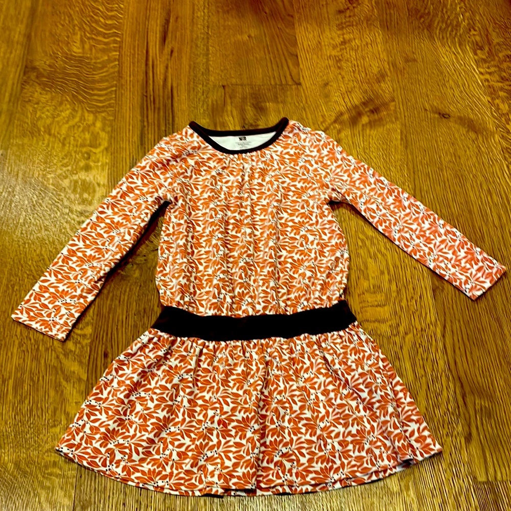 Tea brand size 4 drop-waist dress